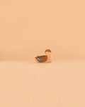 Ostheimer Duck, Swimming