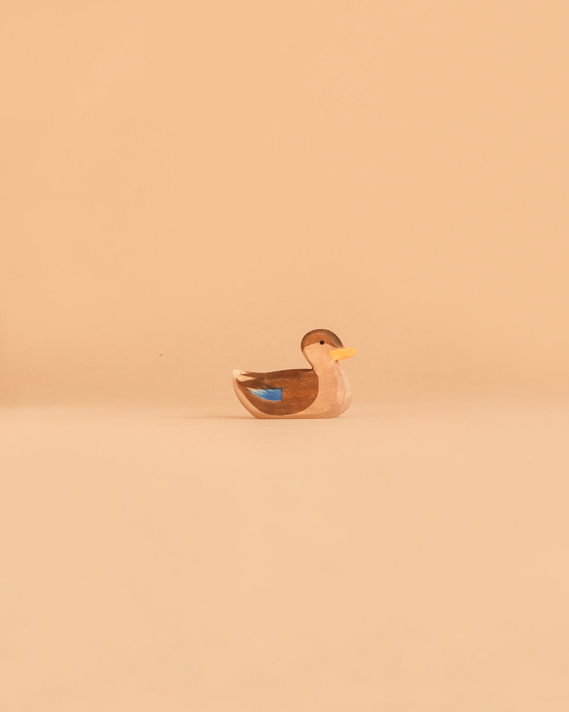 Ostheimer Duck, Swimming
