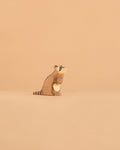 Ostheimer Raccoon - Sitting