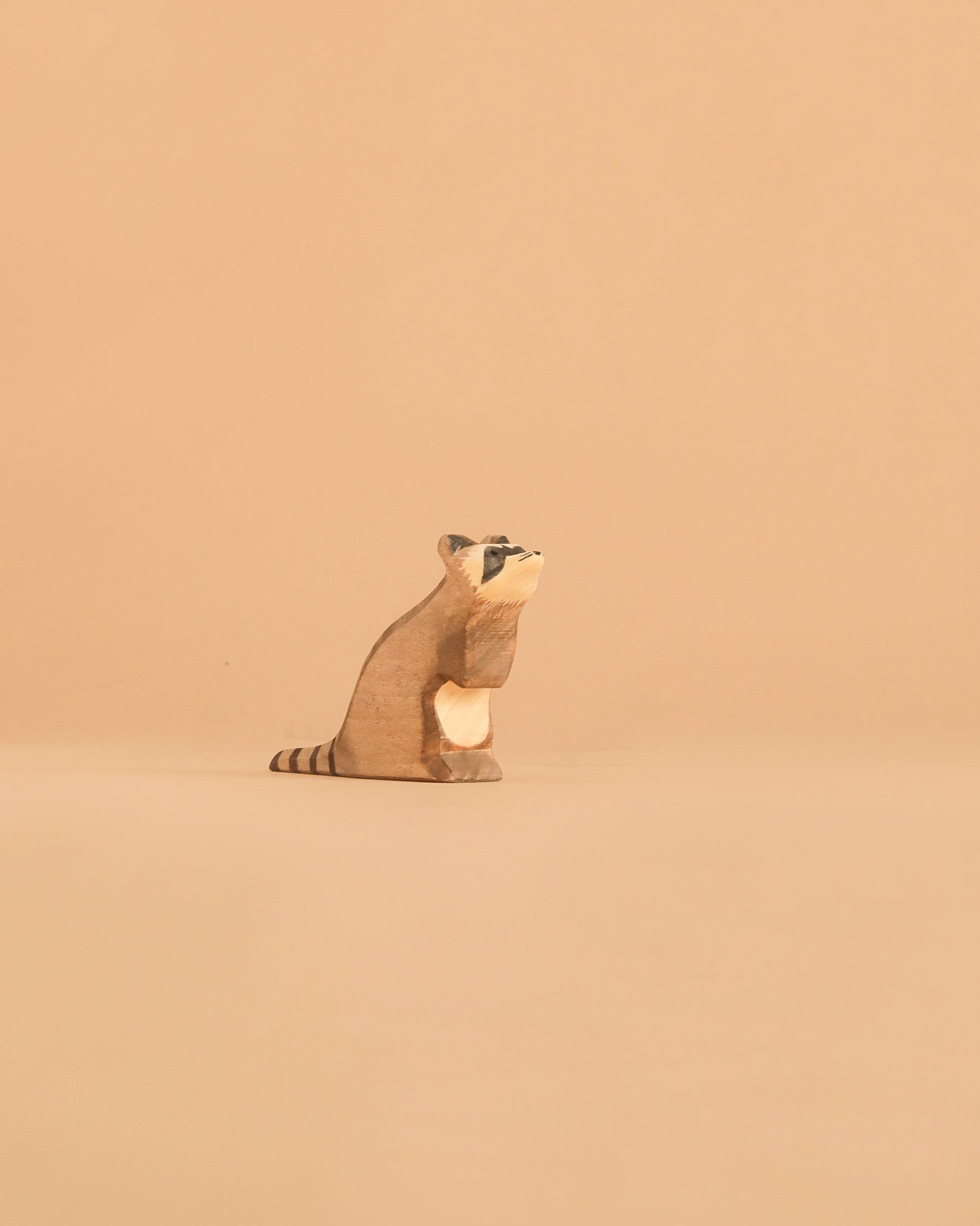 Ostheimer Raccoon - Sitting