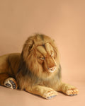 Extra Large Lion - FINAL SALE