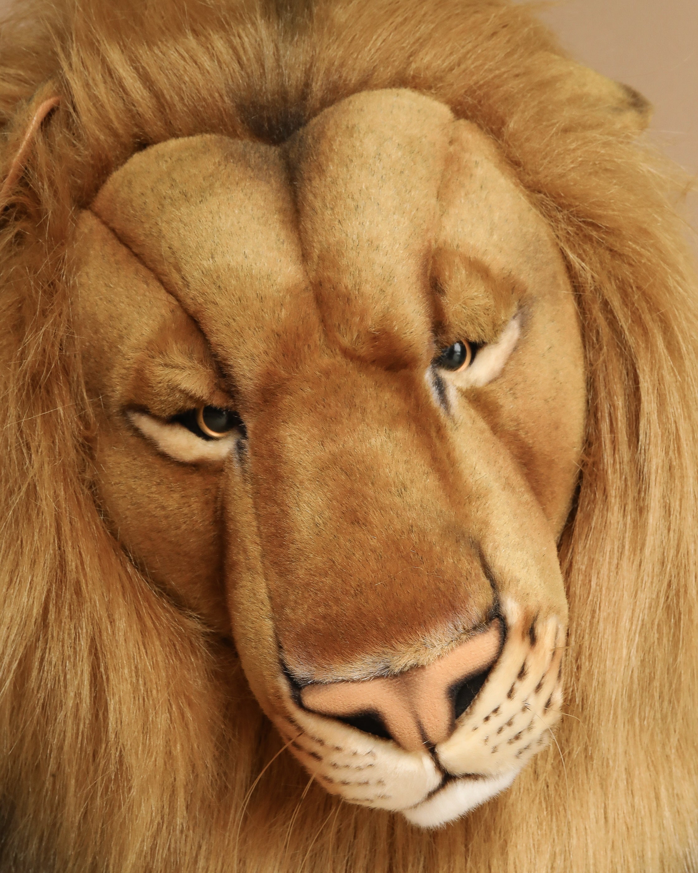 Extra Large Lion - FINAL SALE