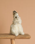 White Bunny Stuffed Animal