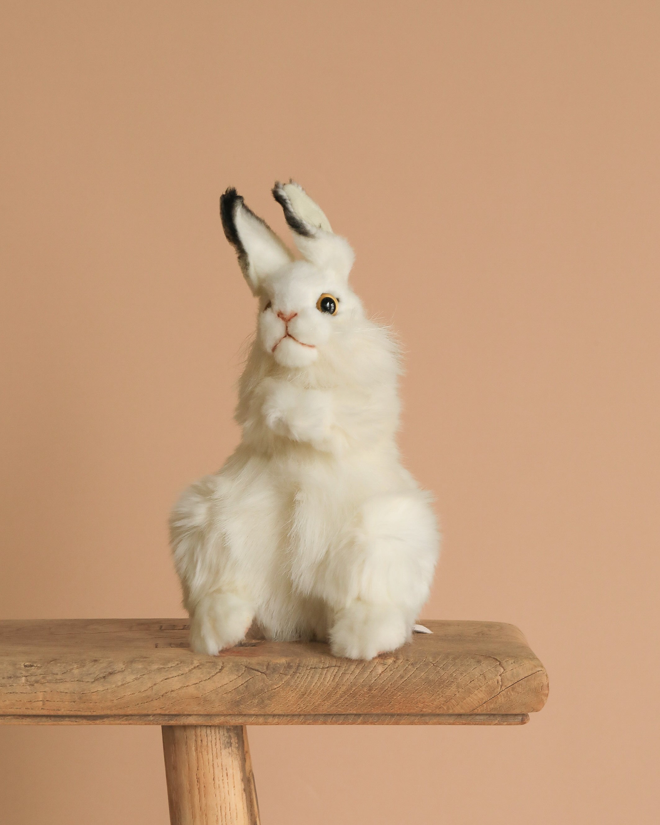 White Bunny Stuffed Animal