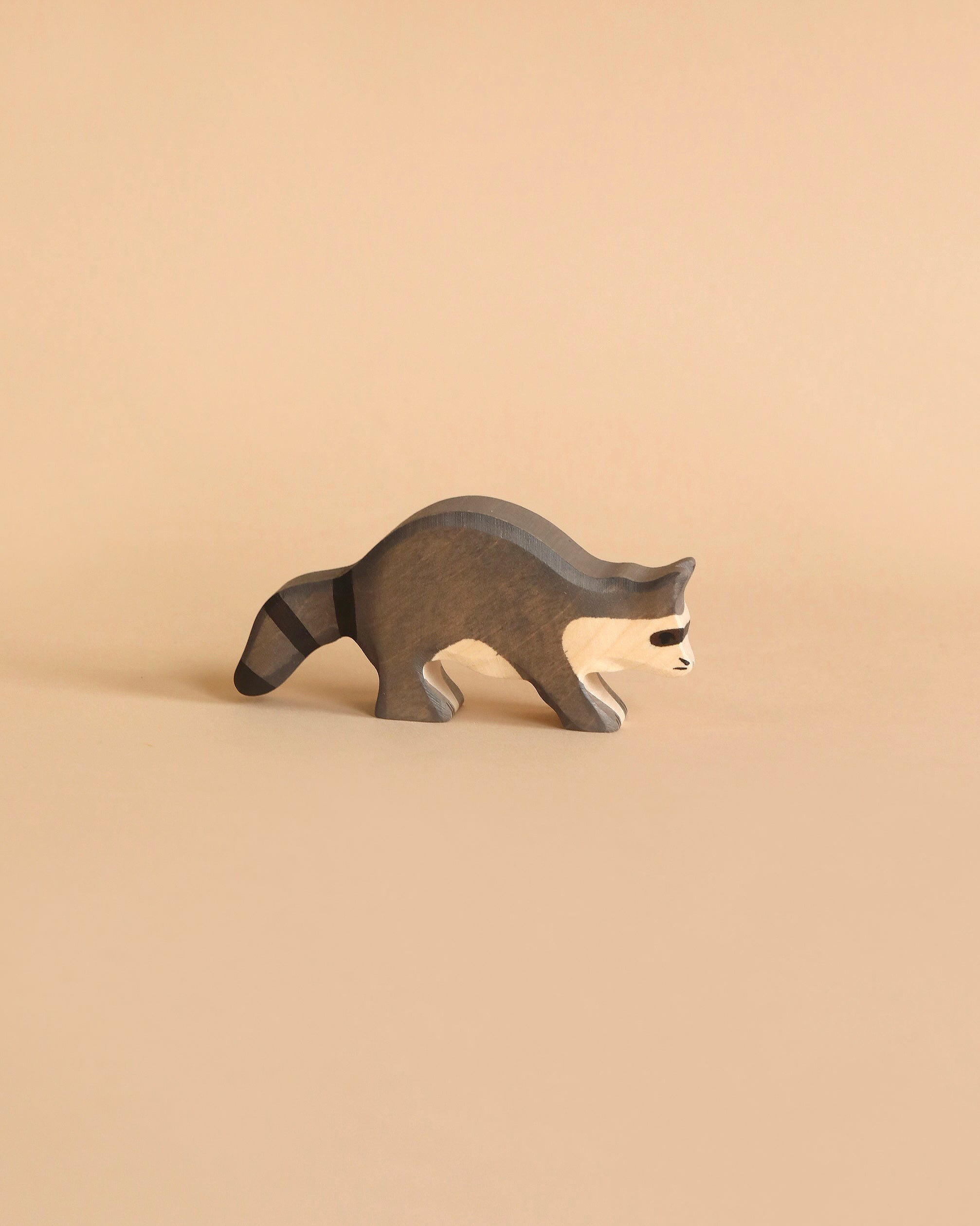 Holztiger Raccoon