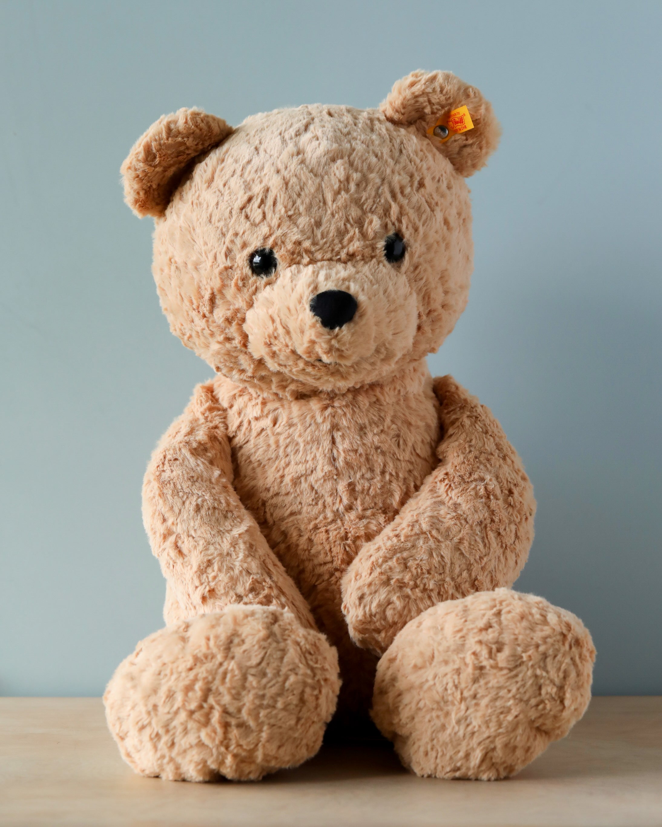 Steiff XL Jimmy Teddy Bear, 22"