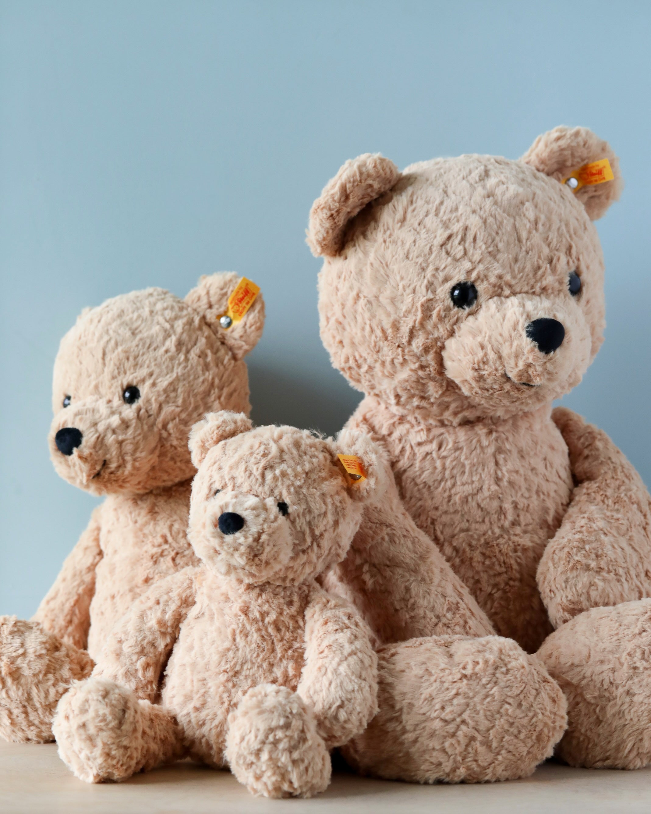 Steiff XL Jimmy Teddy Bear, 22"