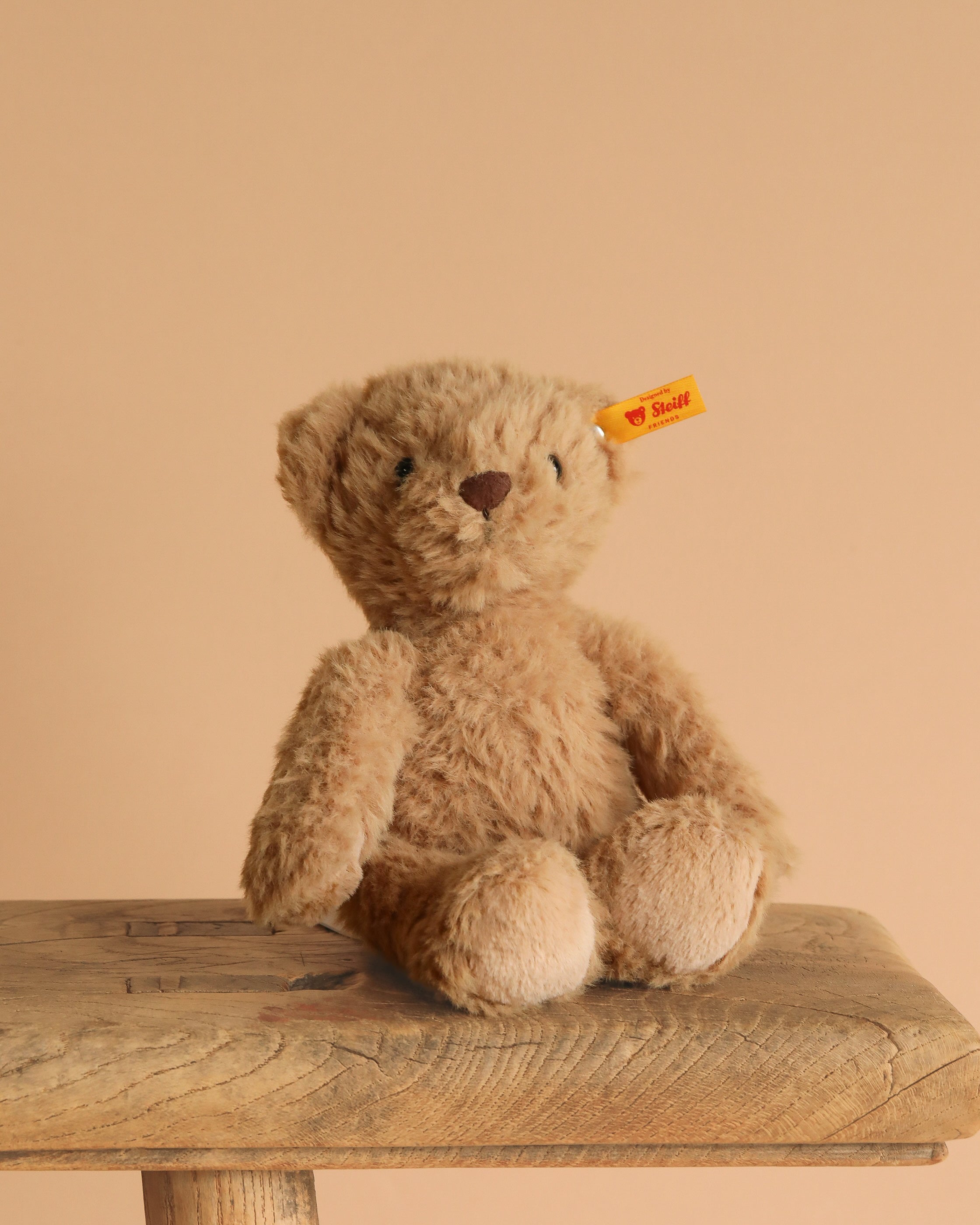 Steiff Thommy Teddy Bear, 8"
