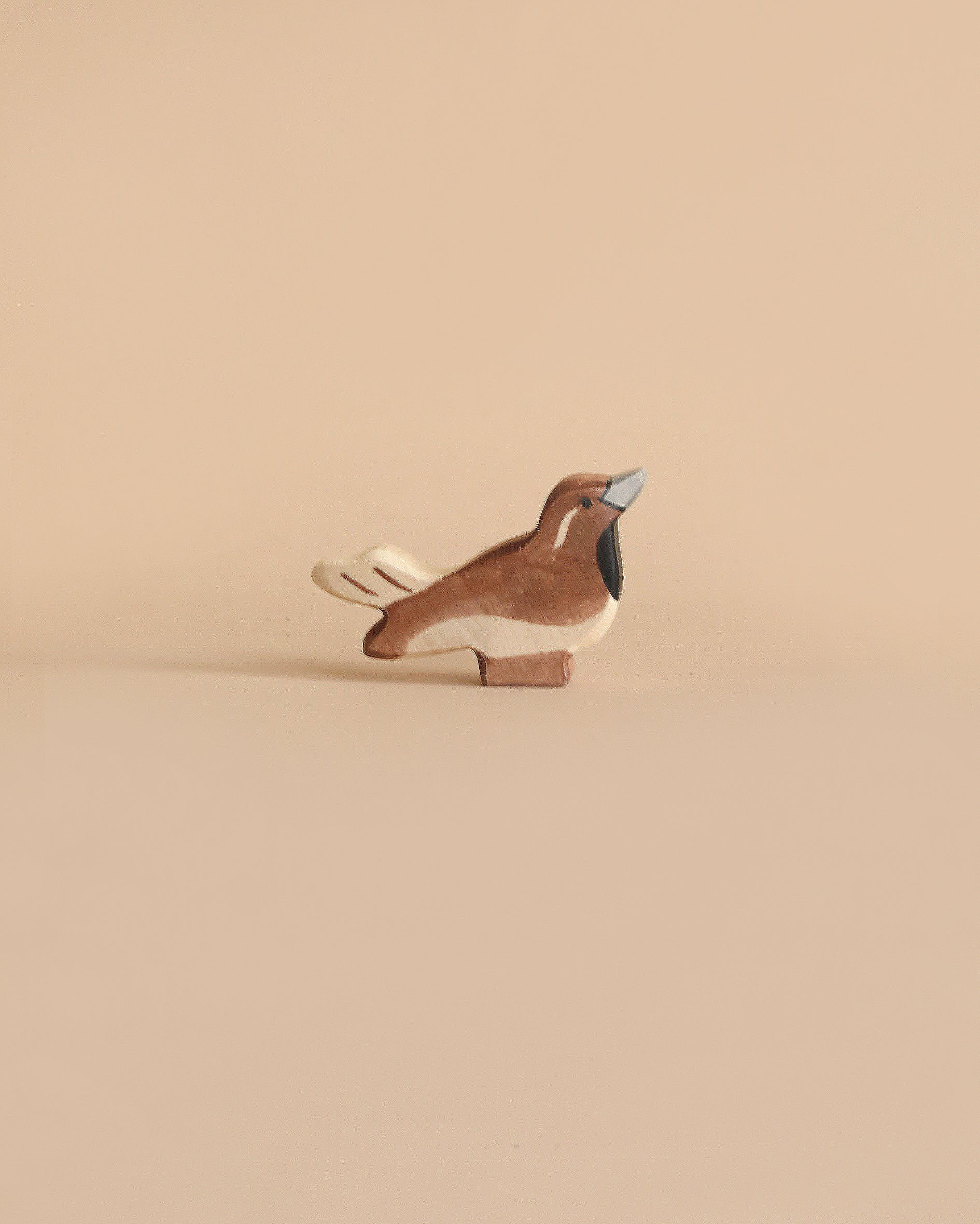 Holztiger Sparrow Bird
