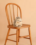 Bukowski - Sweet Hubert Hedgehog - Sitting