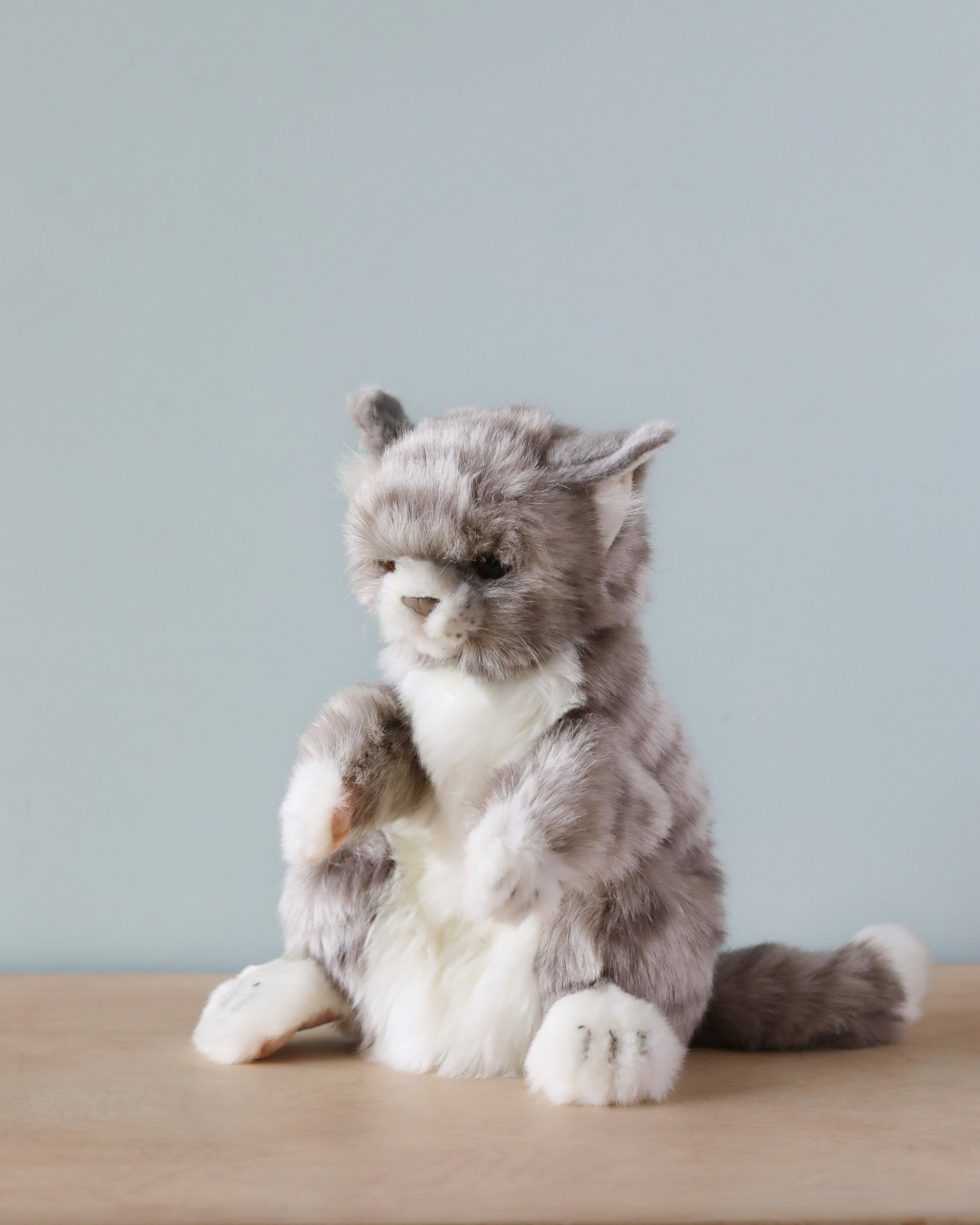 Cat Puppet