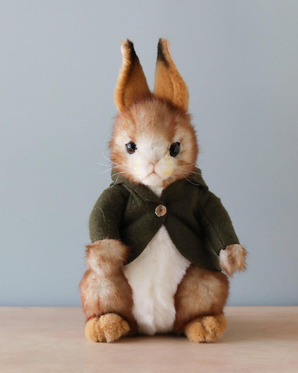 Bunny With Green Jacket Stuffed Animal
