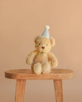 Snuggle Bunnies - Birthday Arthur - Gingham
