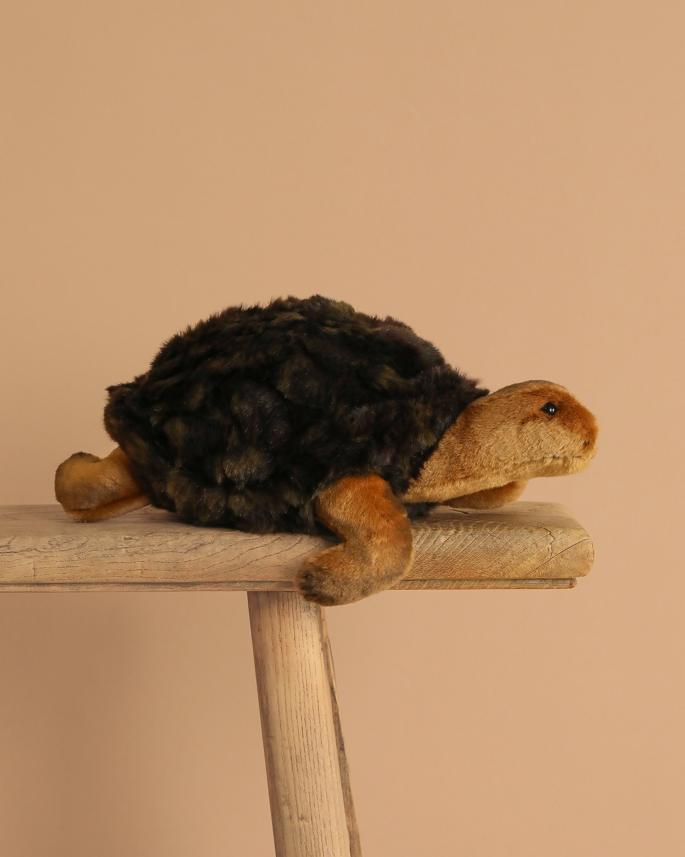 Steiff Slo Tortoise Stuffed Animal