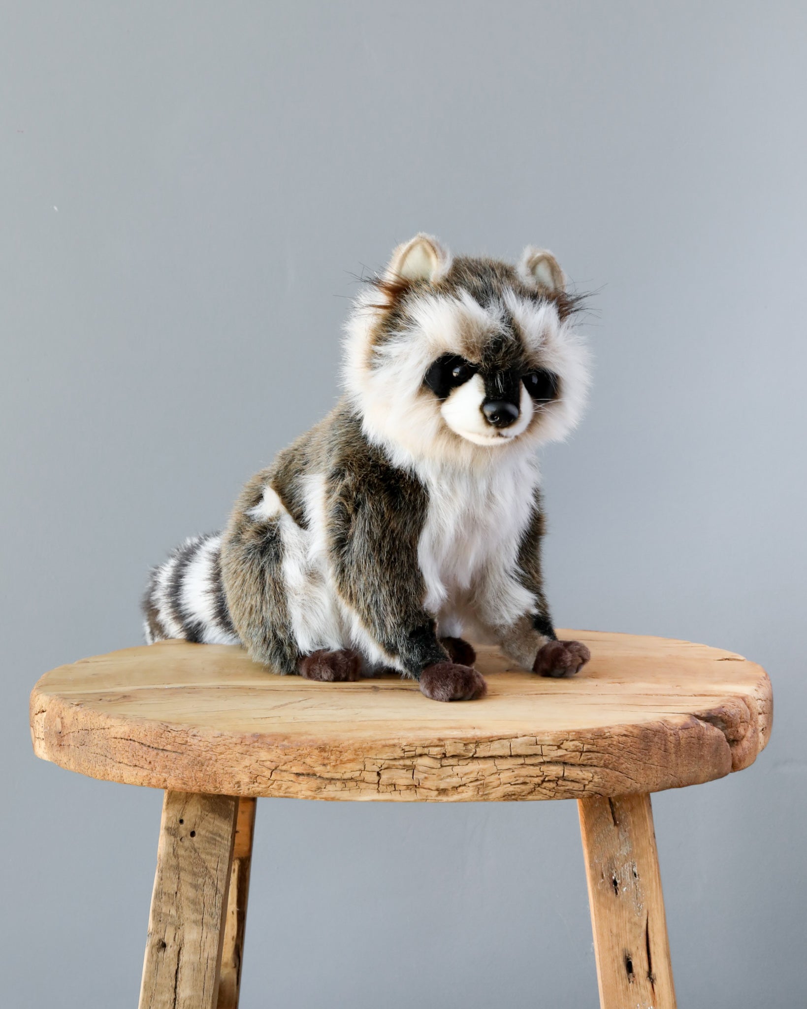 Raccoon Stuffed Animal