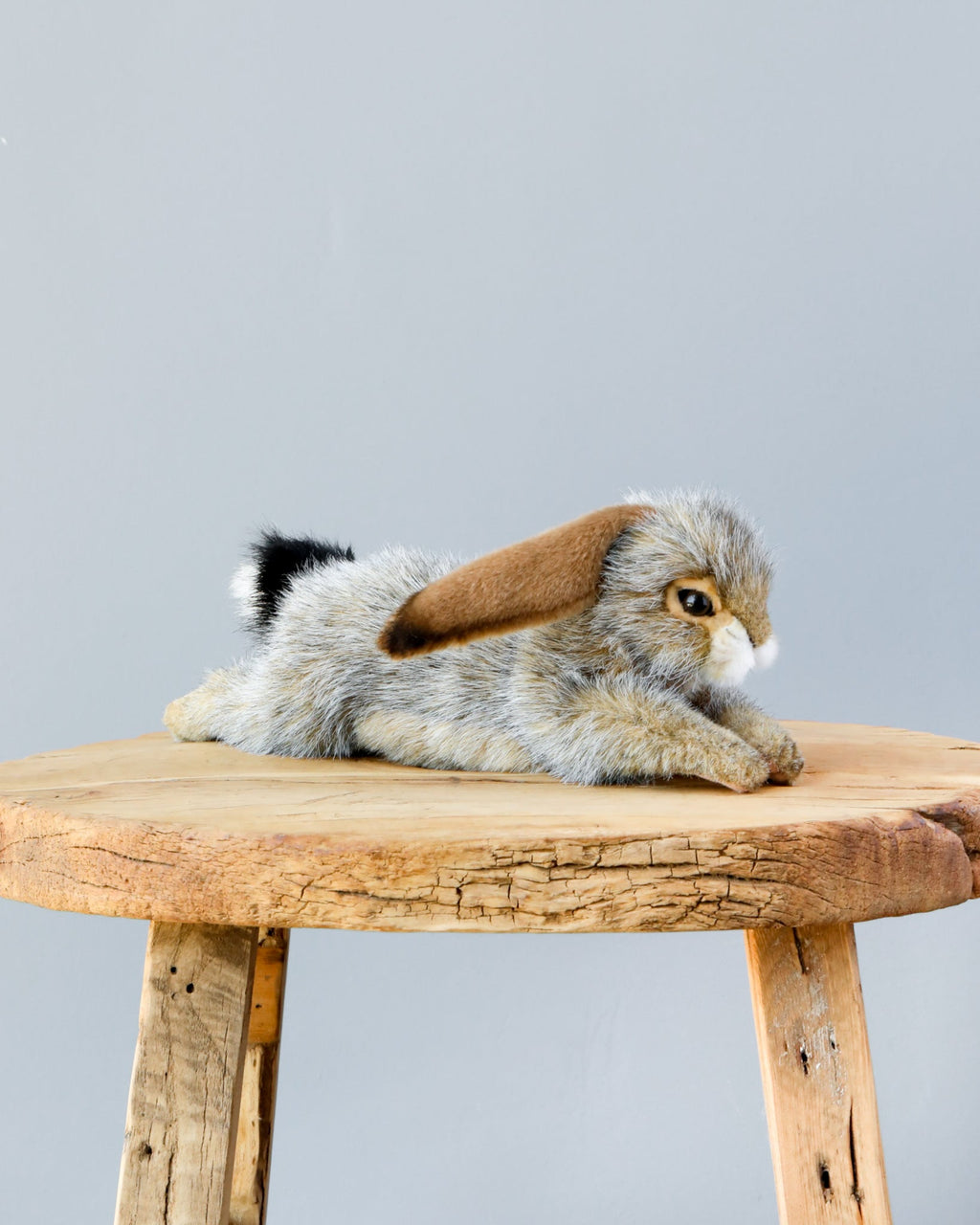 Bunny Floppy Ear Stuffed Animal (ships in one week)