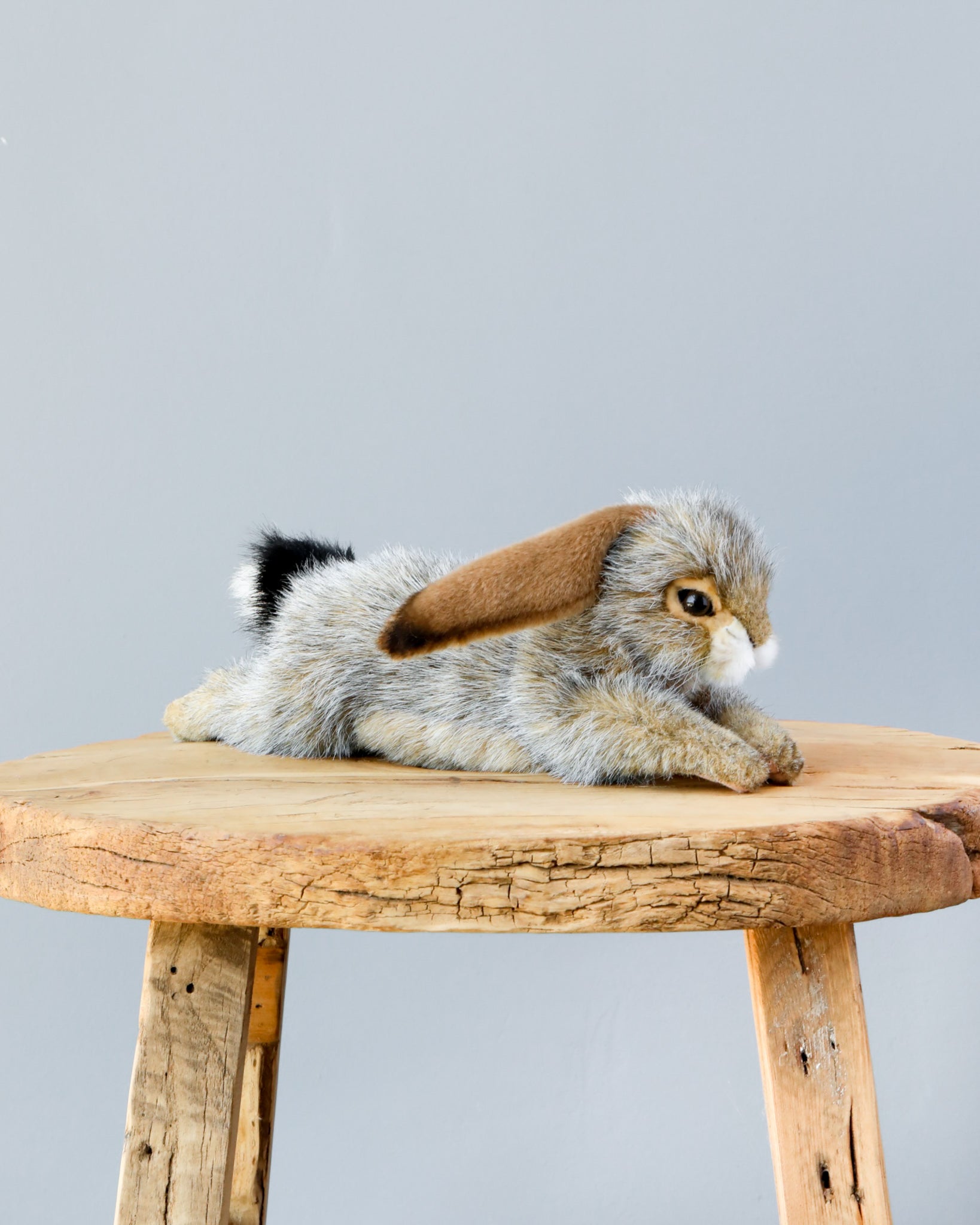Bunny Floppy Ear Stuffed Animal (ships in one week)