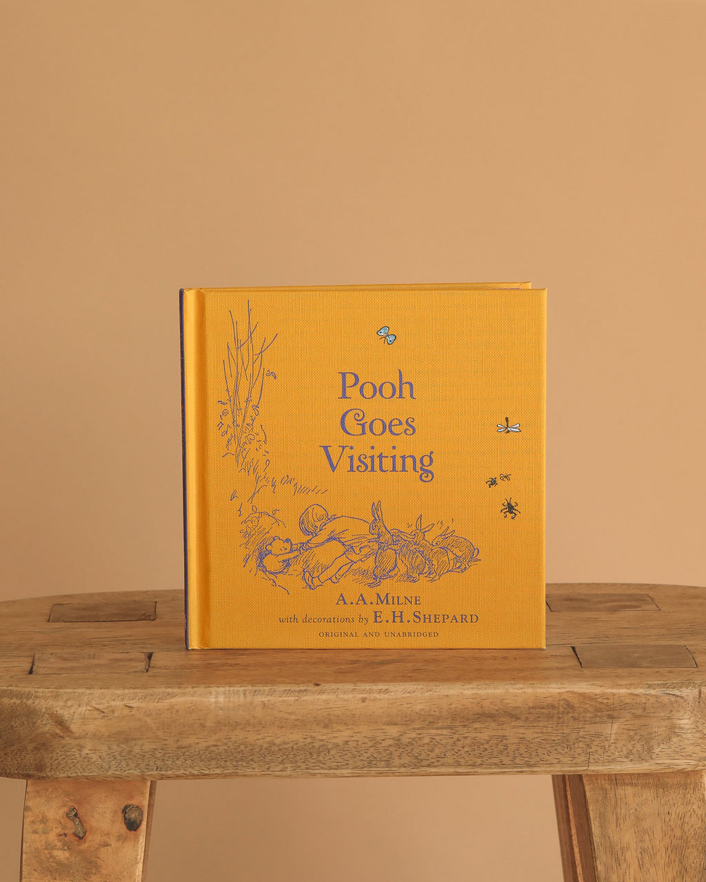 Winnie-the-Pooh: Pooh Goes Visiting
