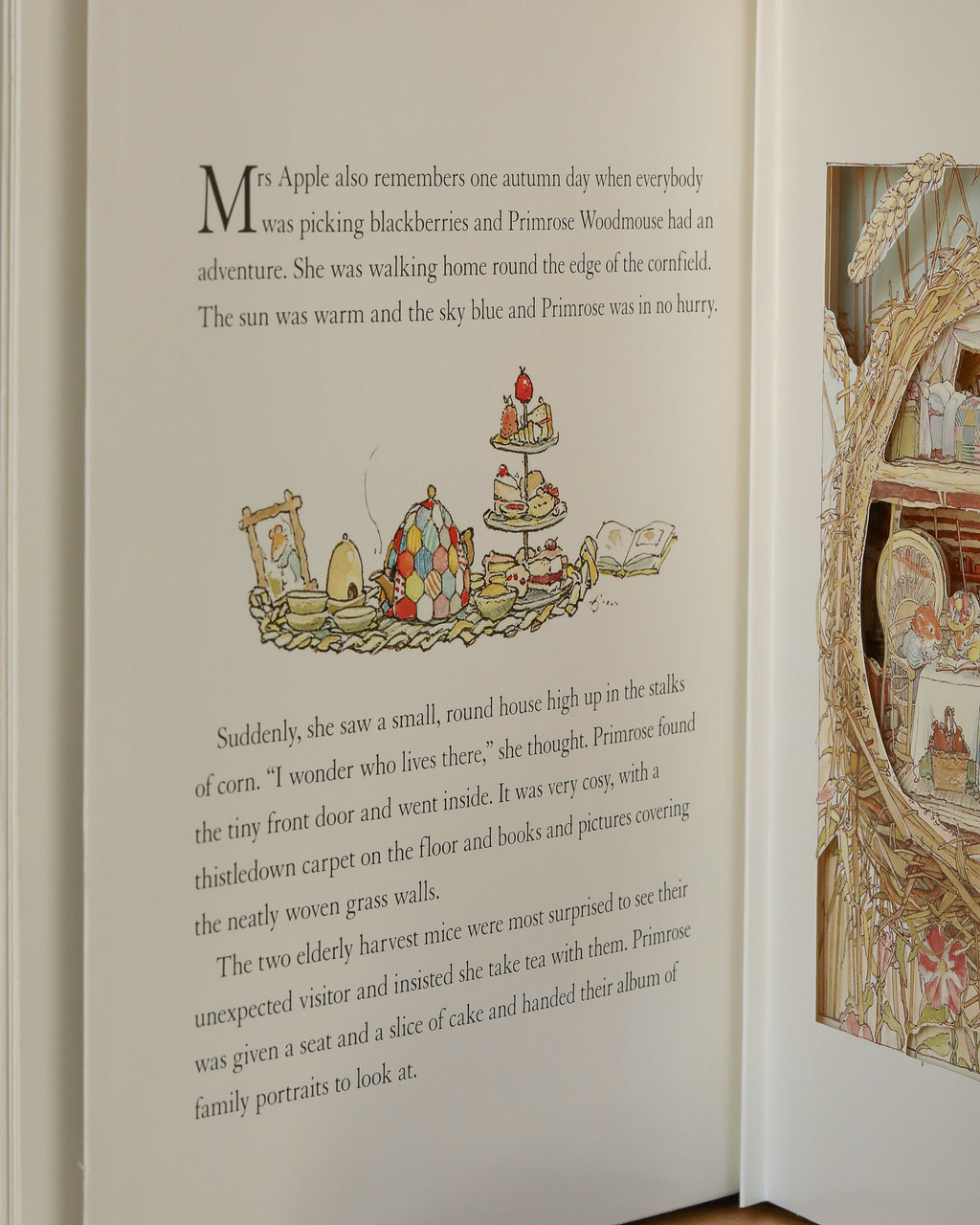The Brambly Hedge Pop-Up Book by Jill Barklem