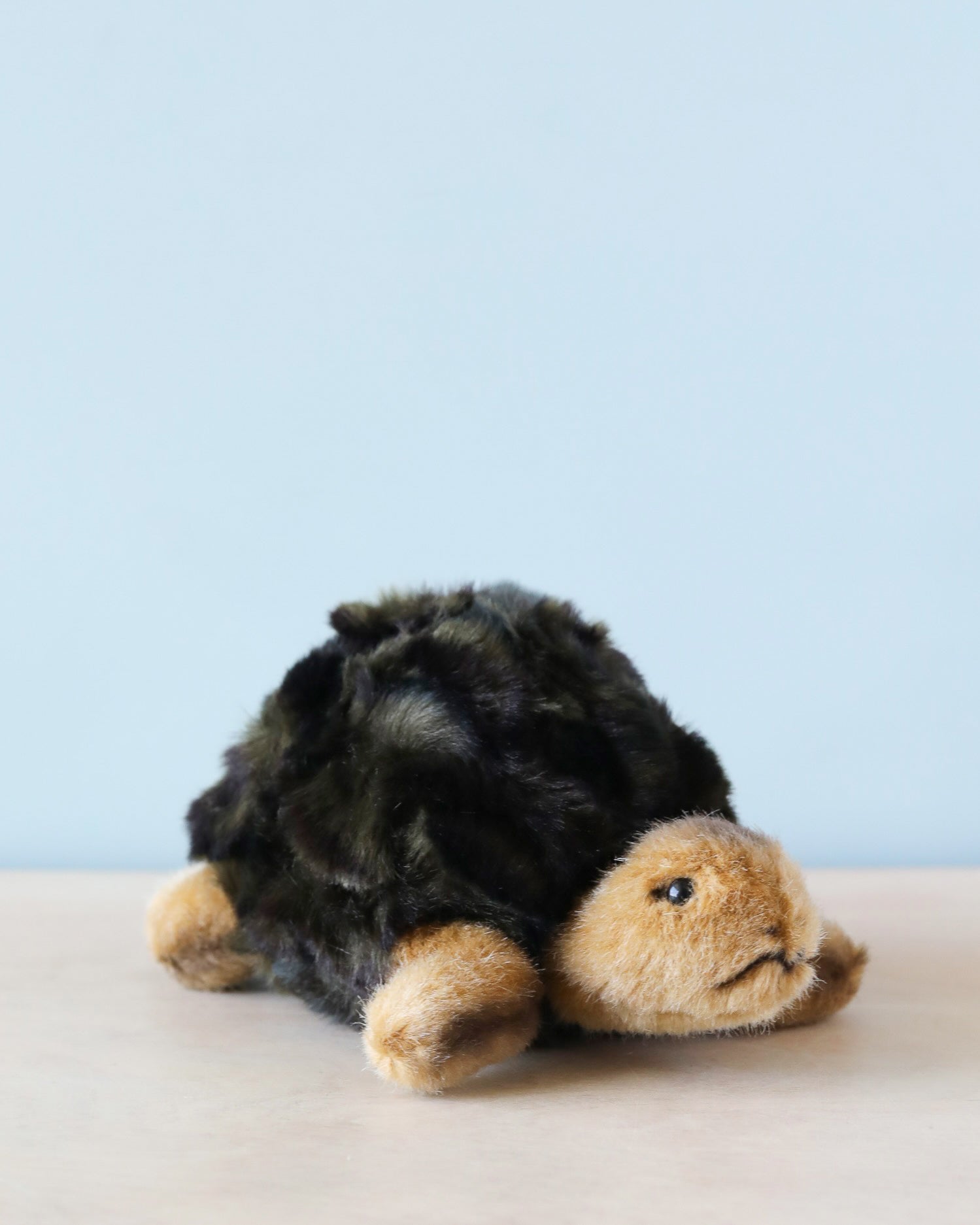 Steiff Slo Tortoise 8" Plush Toy
