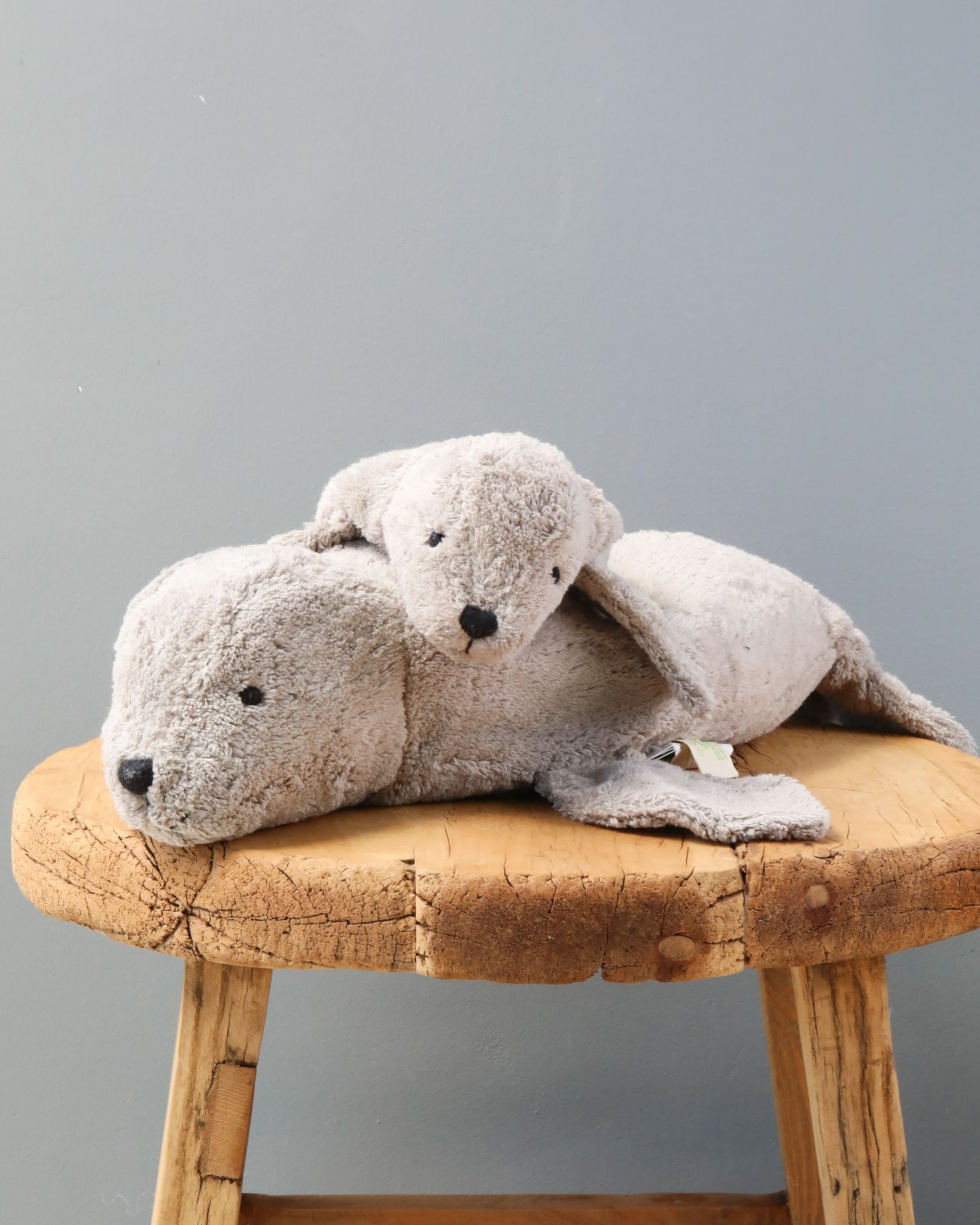 Senger Naturwelt Cuddly Animal - Gray Seal