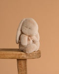 Maileg Plush Bunny, Small - Latte