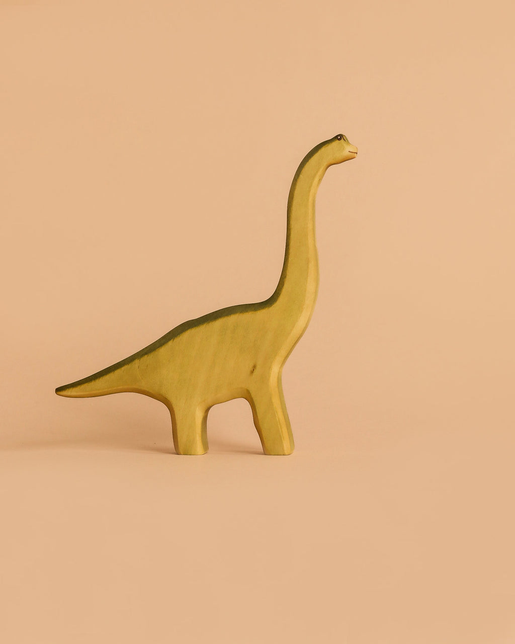 Handmade Holzwald Dinosaur Set