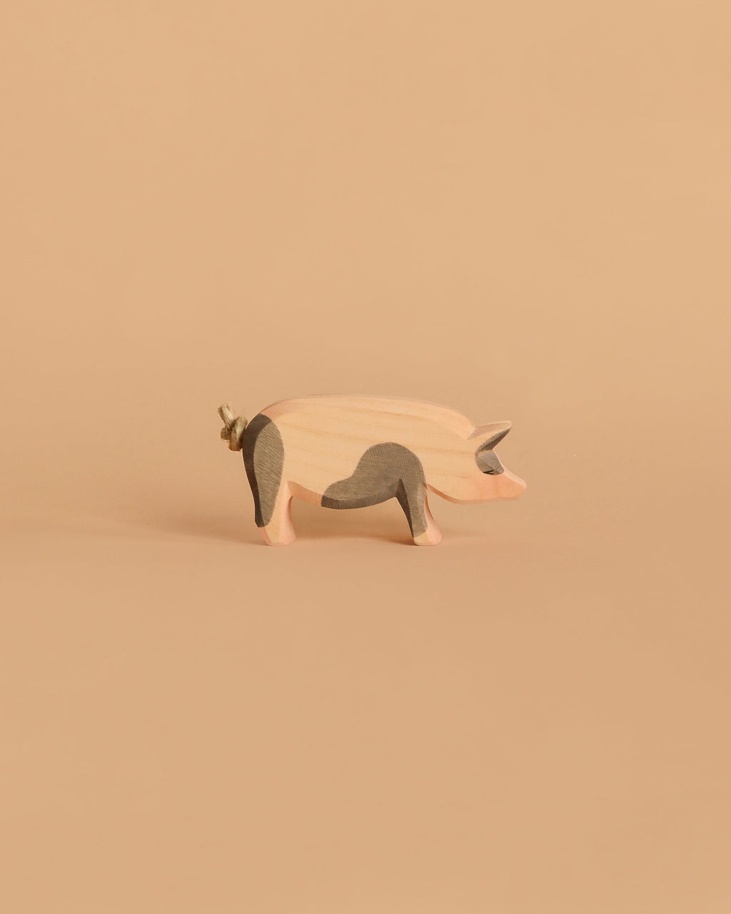 Ostheimer Spotted Pig - Head High