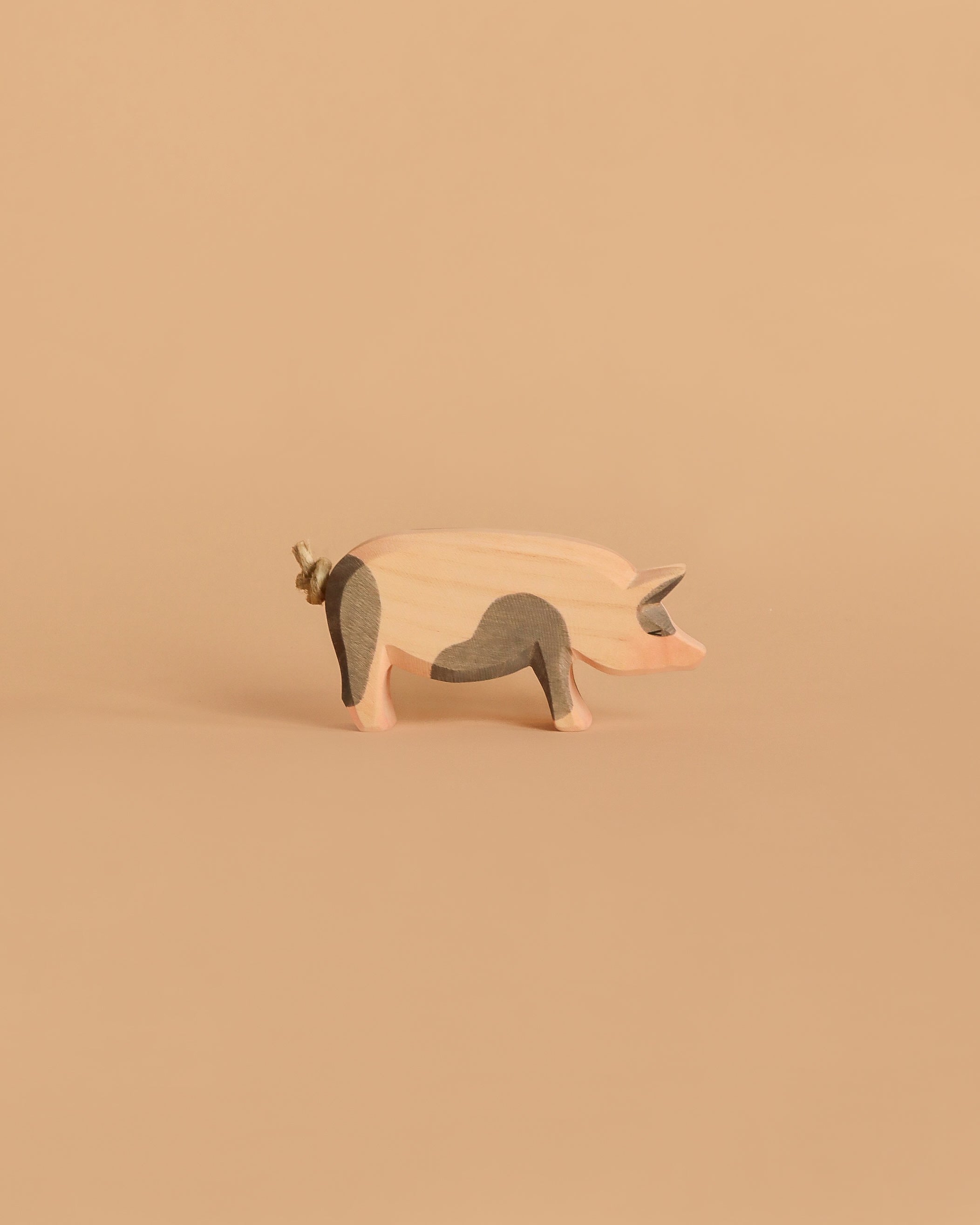 Ostheimer Spotted Pig - Head High
