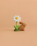 Bumbu Handmade Wooden Spring Set