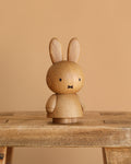 Boyhood Miffy x Miffy, Small