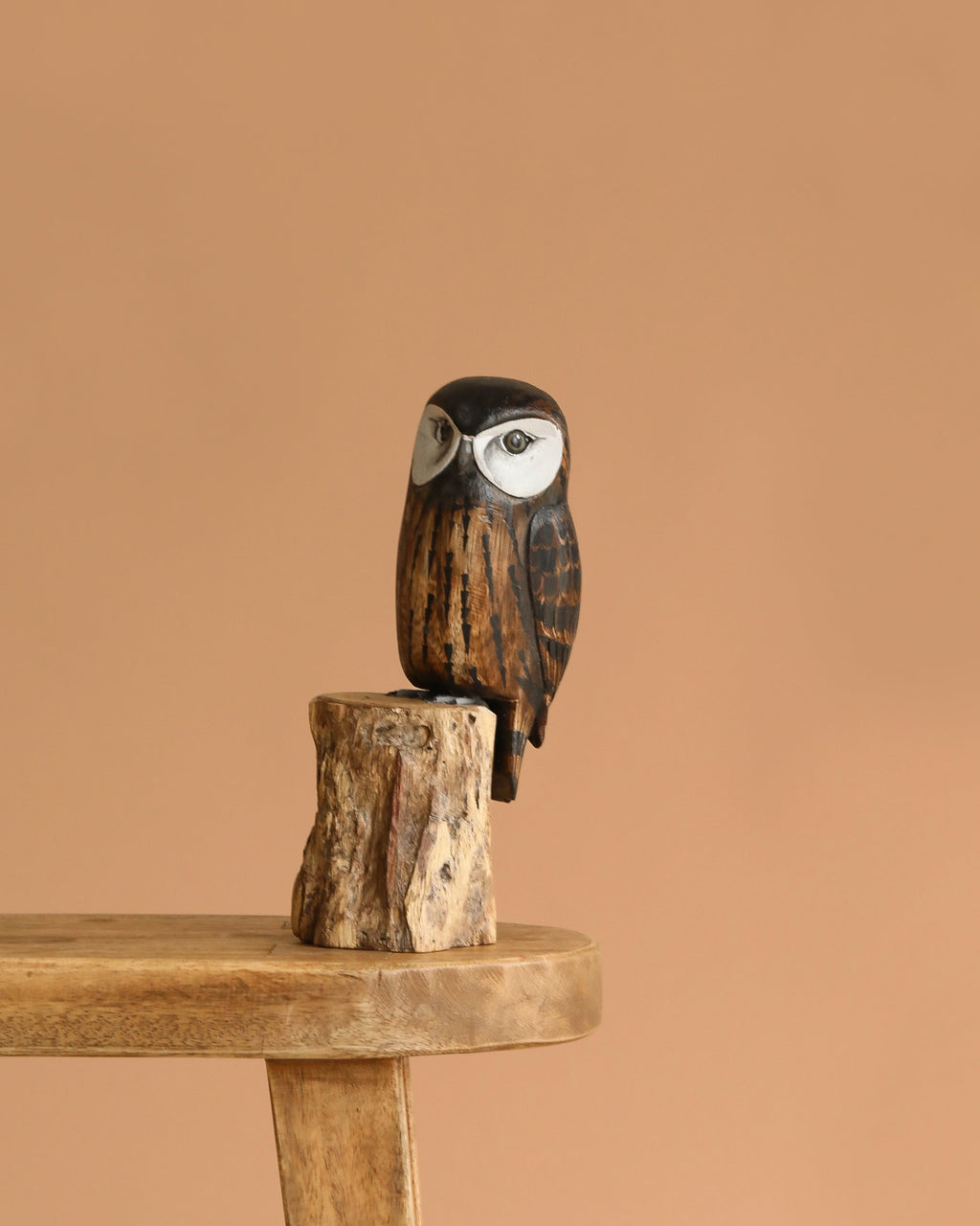 Hand Carved Saw Whet Owl - 10"H