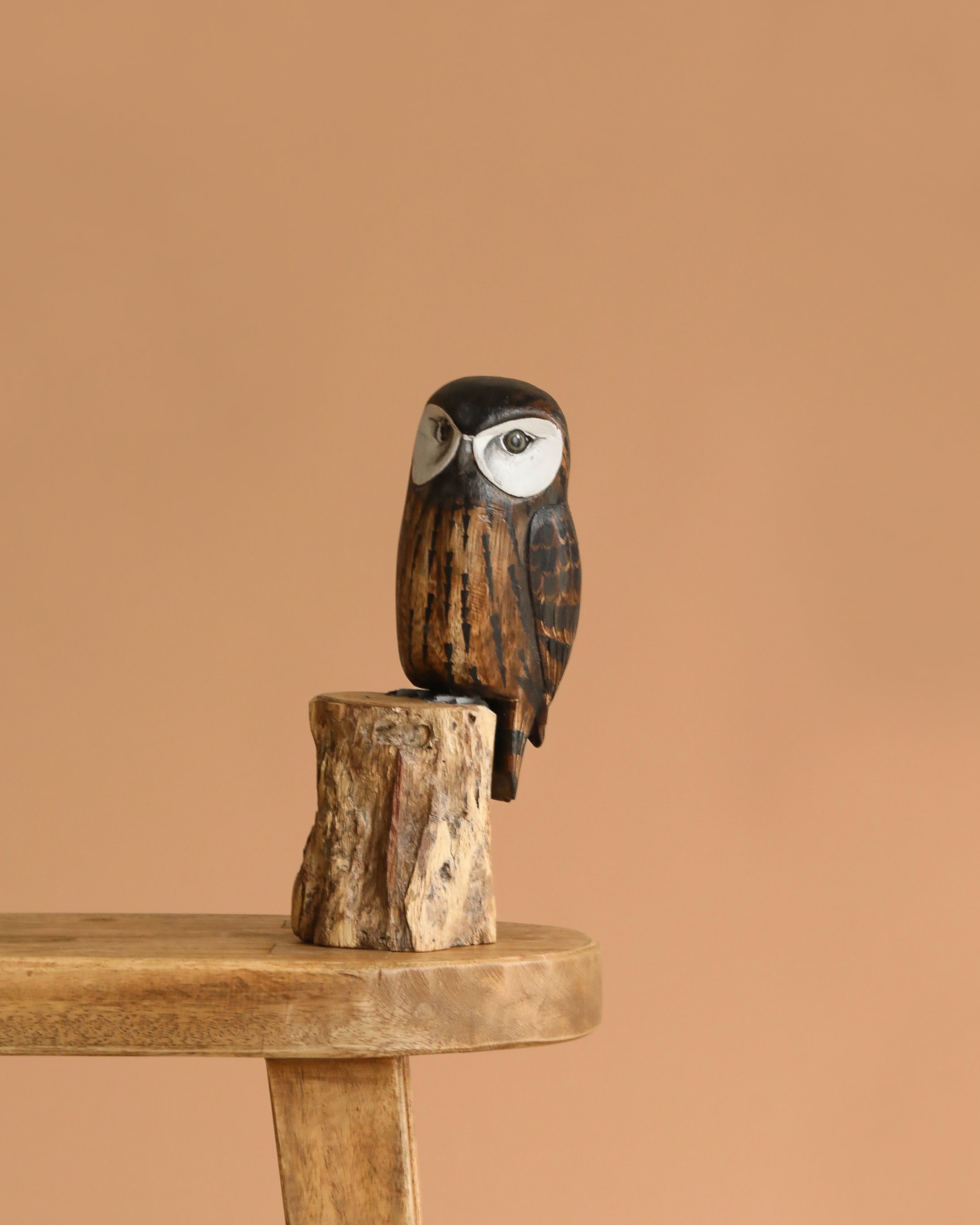 Hand Carved Saw Whet Owl - 10"H