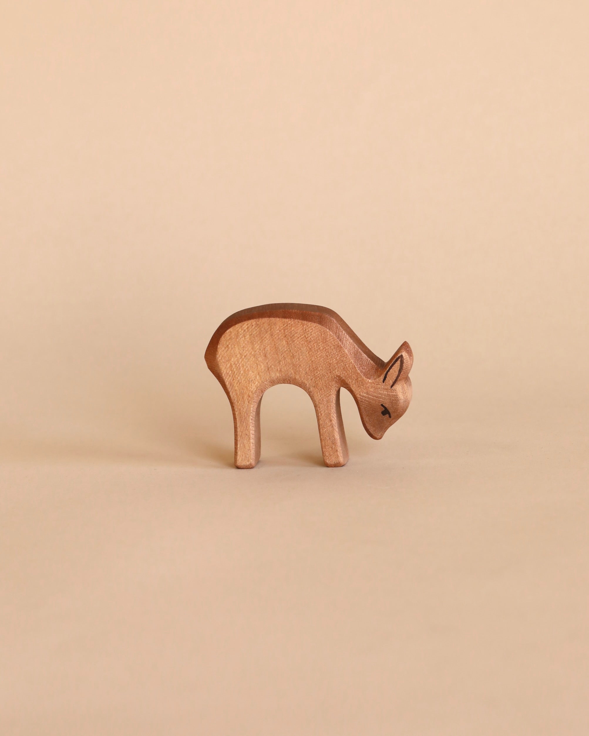 Ostheimer Deer - Eating