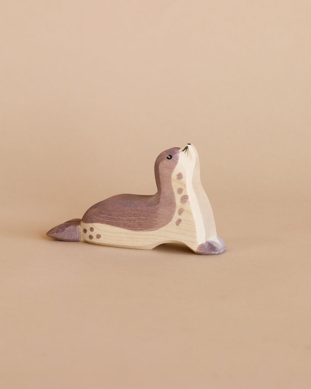 Ostheimer Sea Lion - Head Up