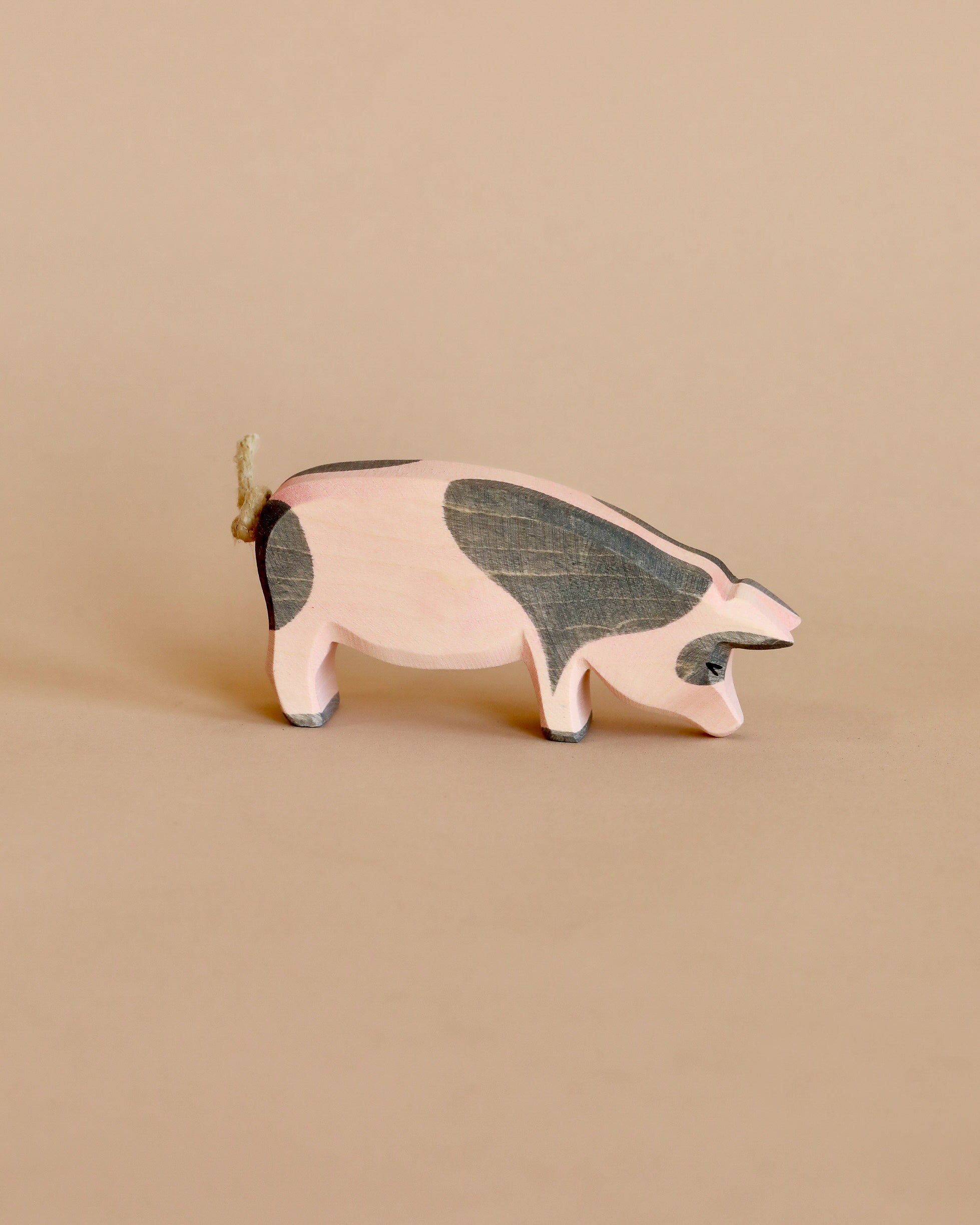 Ostheimer Spotted Pig - Head Low