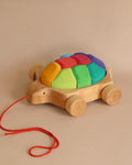 Grimm's Rainbow Turtle Pull-Toy and Building Blocks