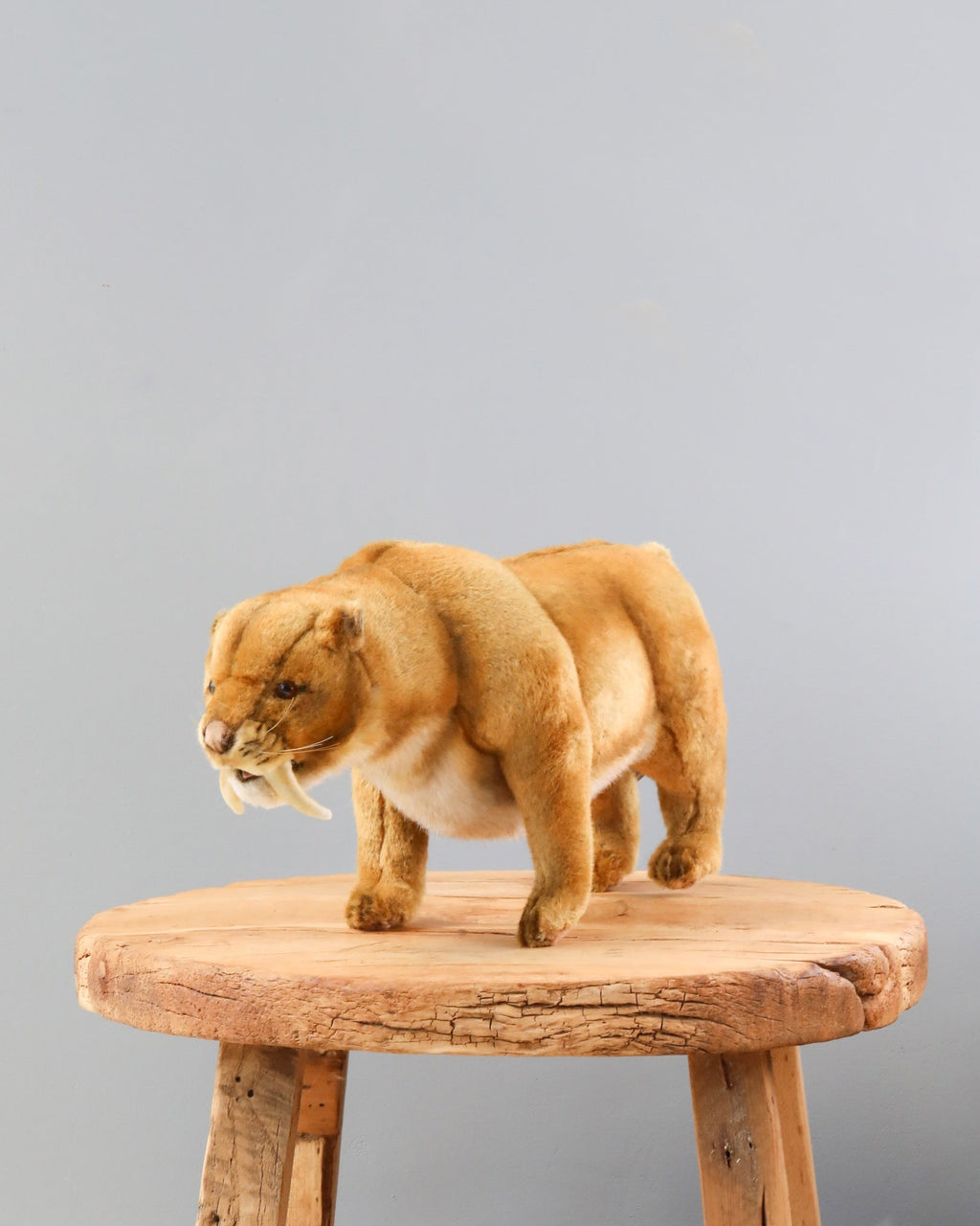 Saber Tooth Tiger Stuffed Animal (ships in one week)