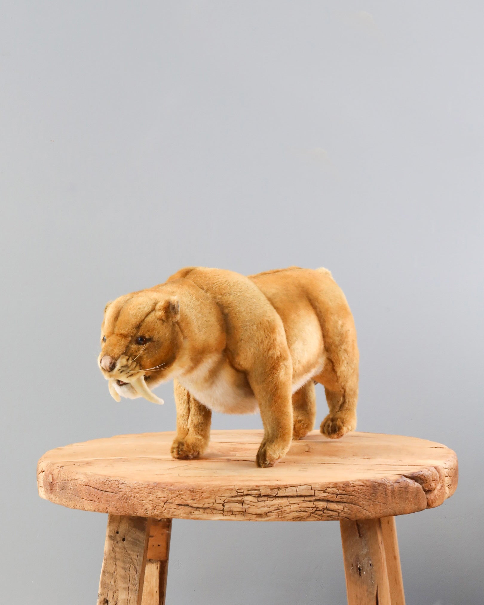 Saber Tooth Tiger Stuffed Animal (ships in one week)