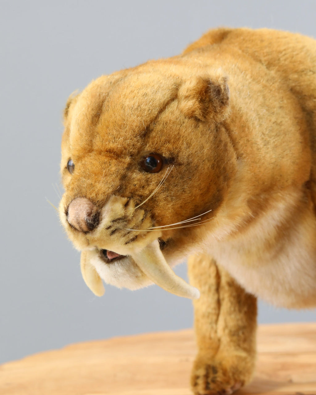 Saber Tooth Tiger Stuffed Animal (ships in one week)