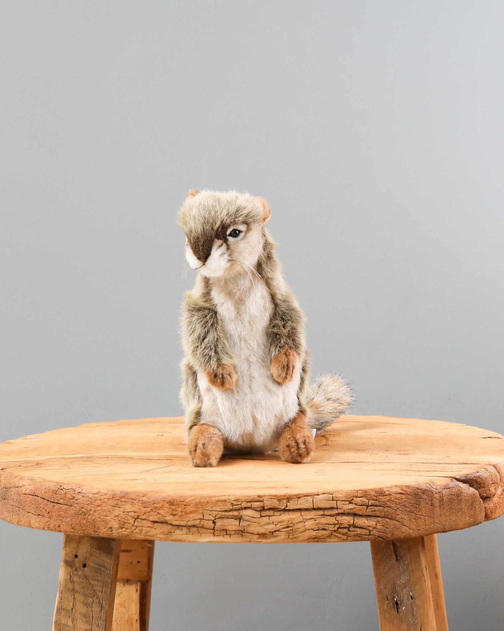 Standing Squirrel Stuffed Animal