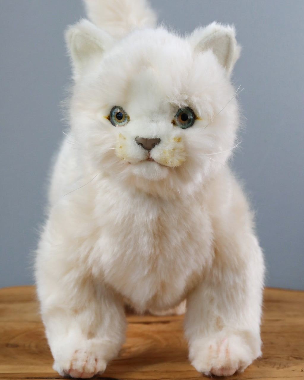 White Cat Stuffed Animal (ships in one week)