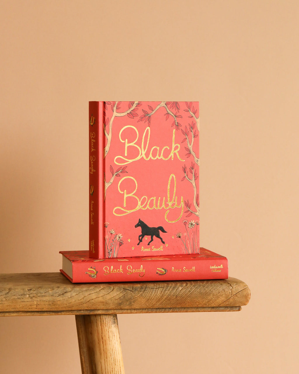 Black Beauty | Collector's Edition | Hardcover