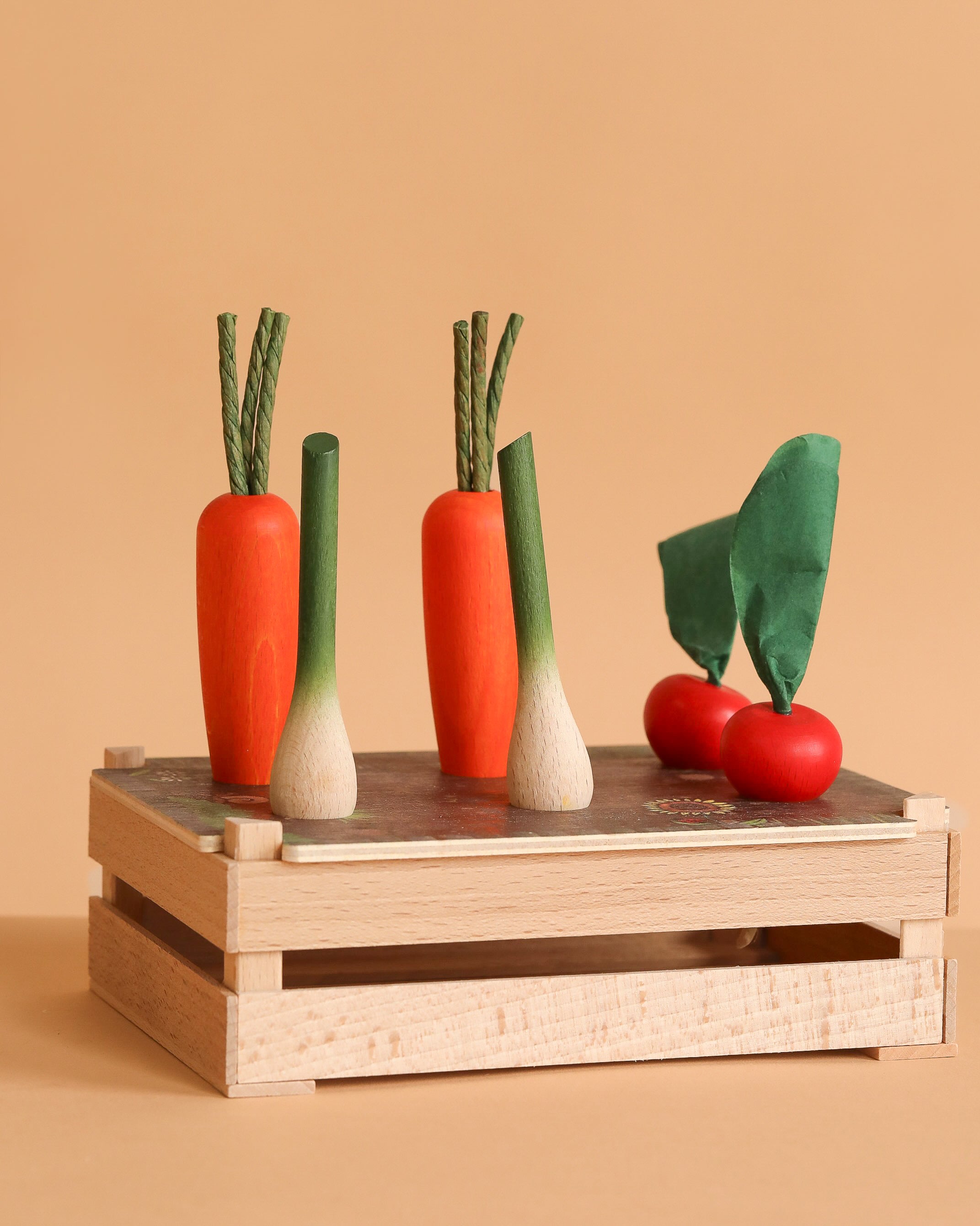 Erzi Vegetable Patch Garden Set