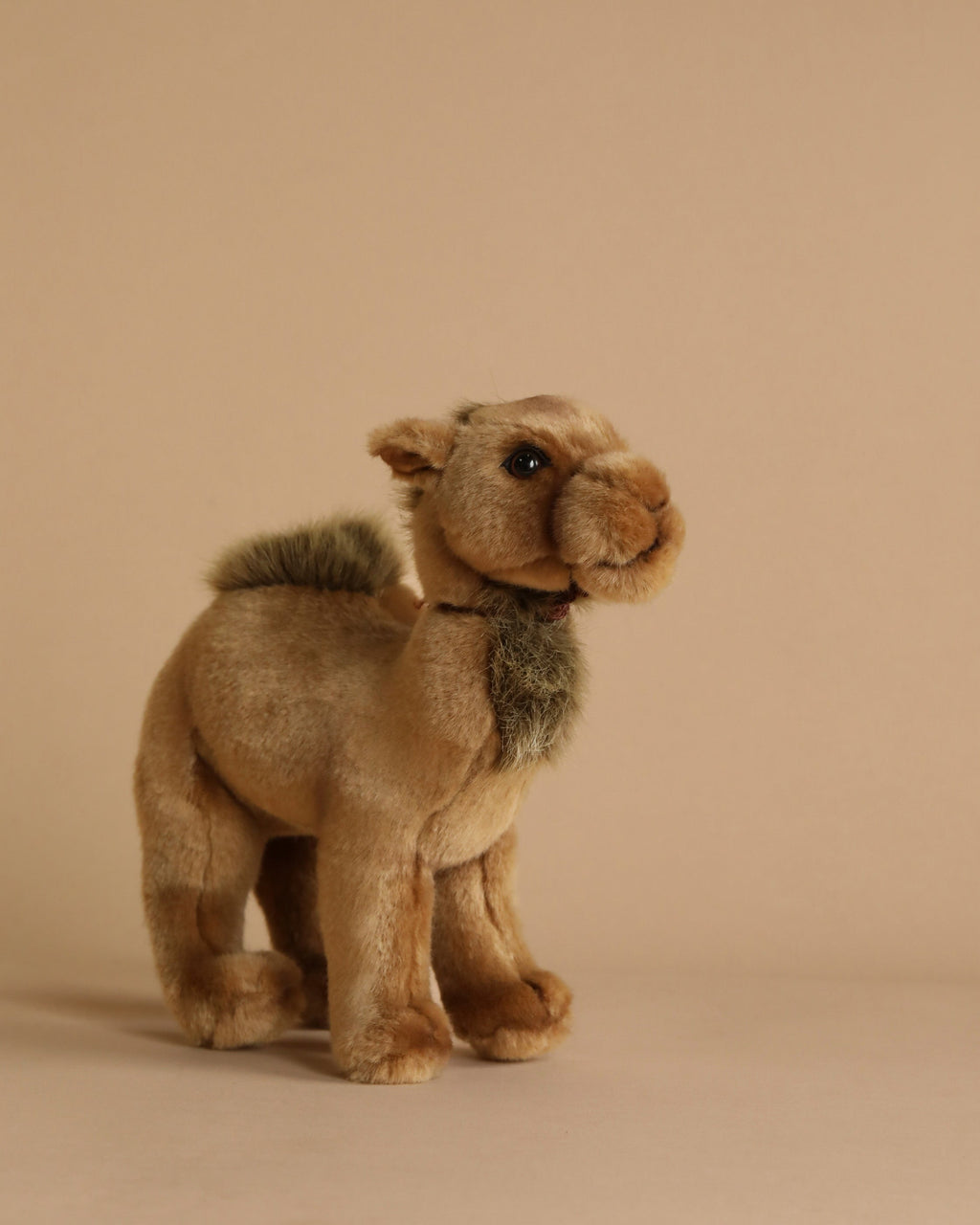Young Camel Stuffed Animal