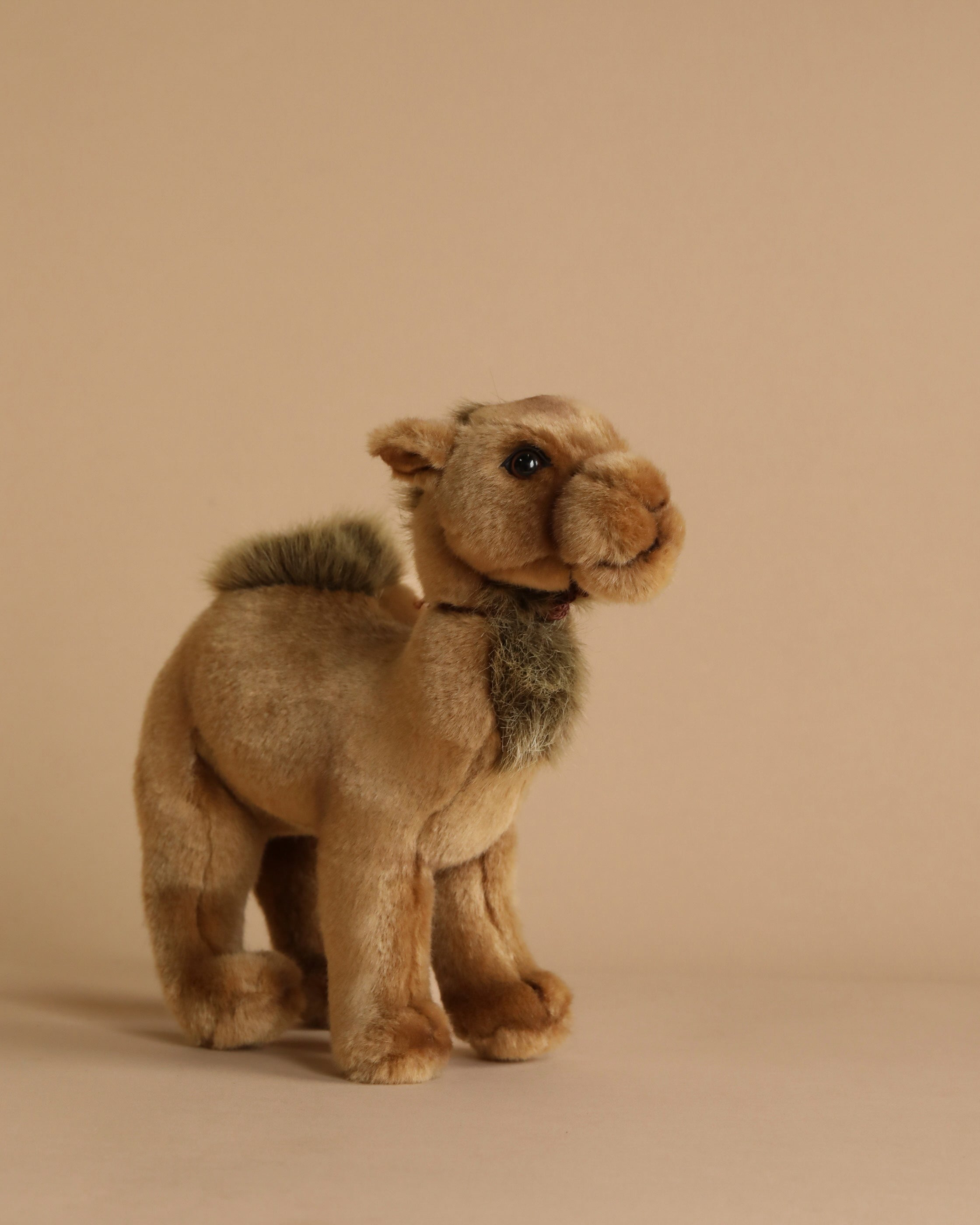 Young Camel Stuffed Animal
