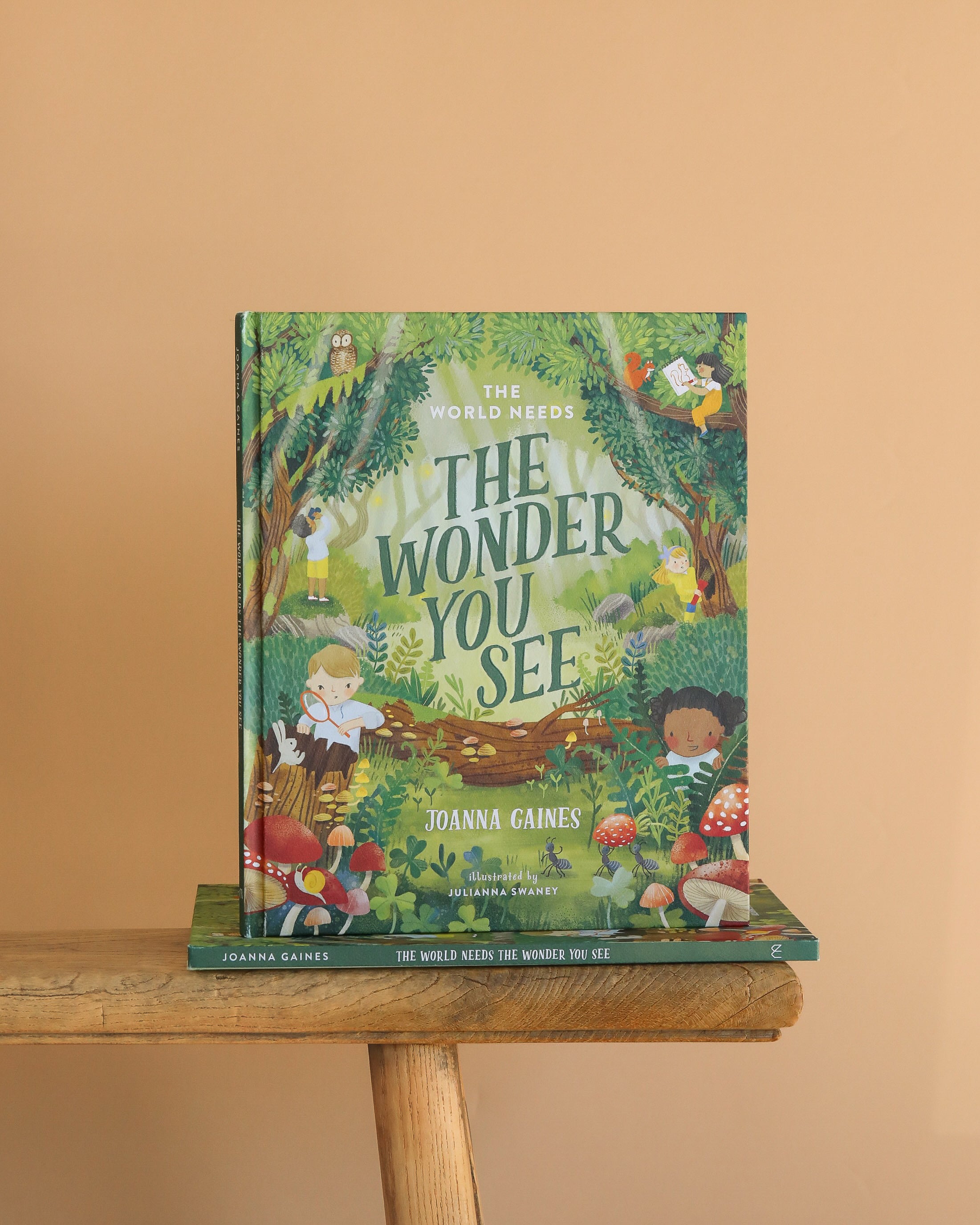 The World Needs The Wonder You See