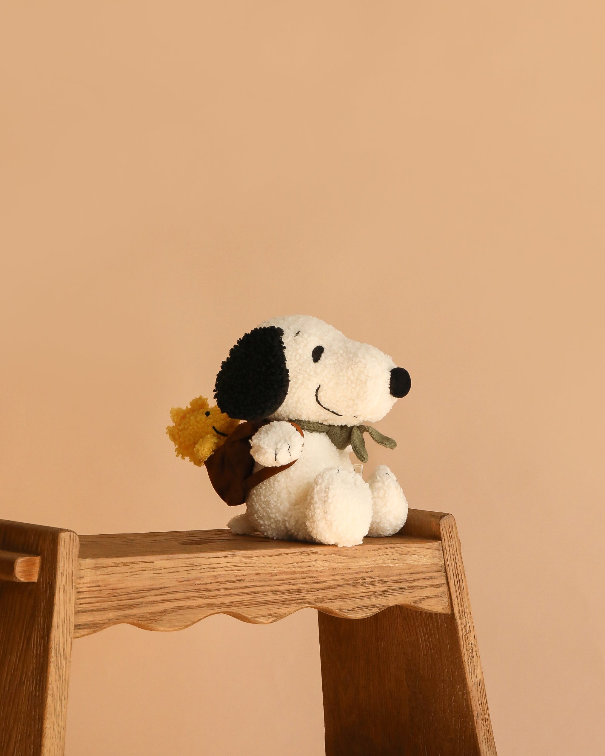Peanuts Snoopy with Woodstock in Backpack