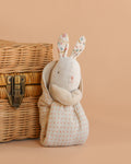 Maileg Lullaby Friends, Bunny, Mini - Nature