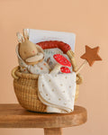 Newborn Gift Basket Set